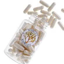 Load image into Gallery viewer, Sea Moss Capsules (60)
