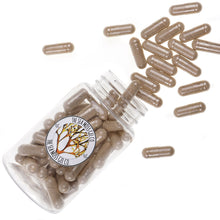 Load image into Gallery viewer, Sea Moss Capsules - Bladderwrack (60)
